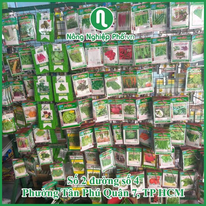 Vườn ươm thực nghiệm tại Nông Nghiệp Phố