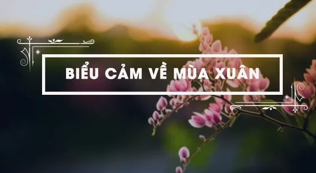 Ảnh minh họa: Phố phường Hà Nội ngày xuân (Nguồn internet)
