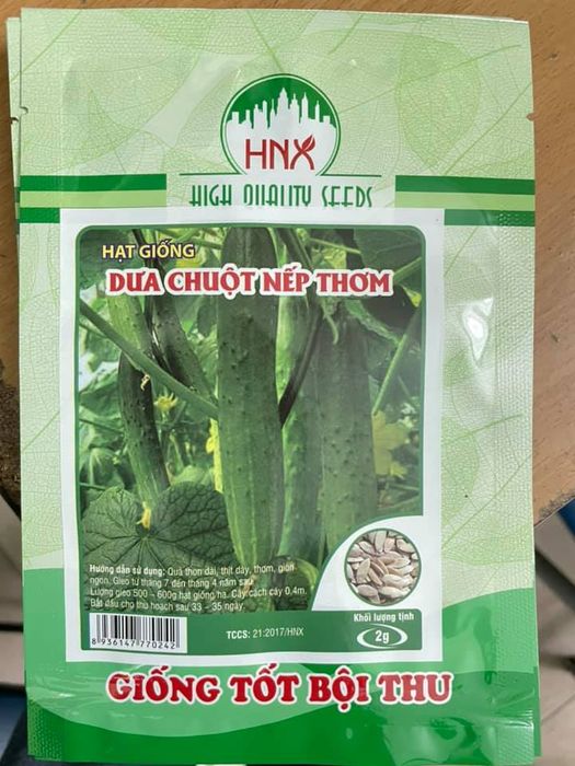 Không gian trưng bày hạt giống tại Hà Nội Xanh