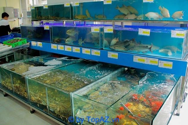 Các địa chỉ bán hải sản tươi sống tại Hà Nội
