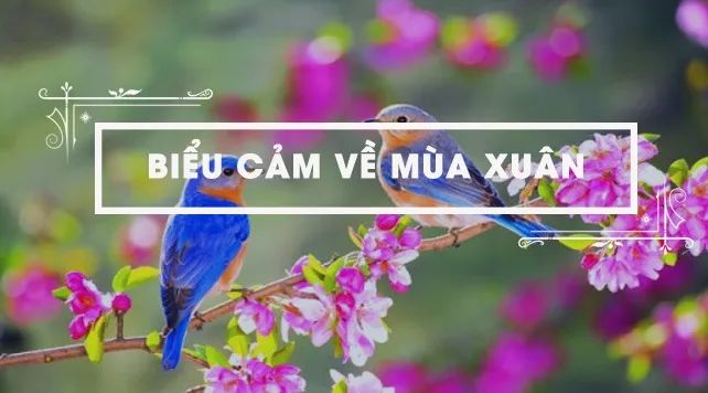 Nguồn ảnh minh họa: Internet