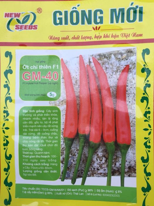 Quy trình đóng gói hiện đại đạt chuẩn quốc tế tại Giống Mới