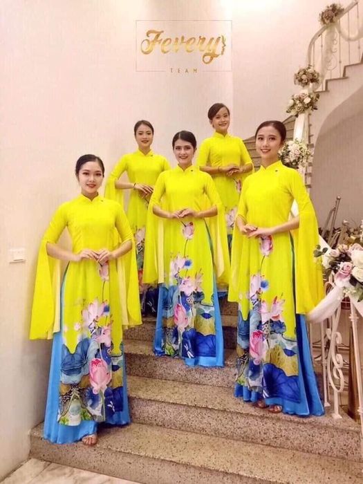 Trang phục biểu diễn Sắc Màu - Ảnh 2