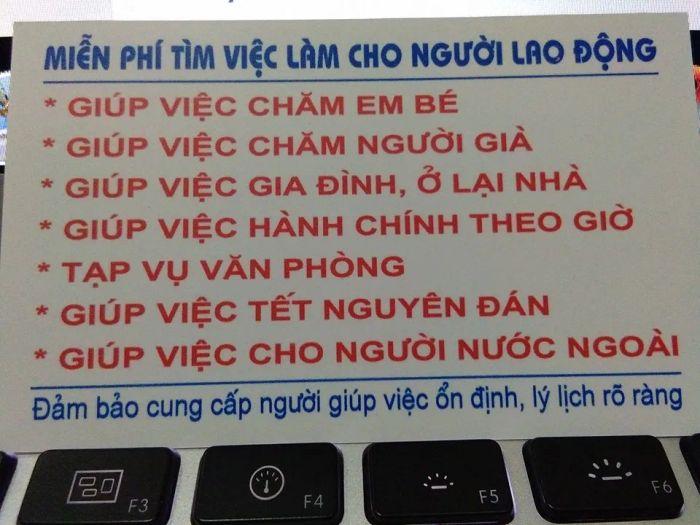 Hình ảnh minh họa dịch vụ Giúp Việc 66