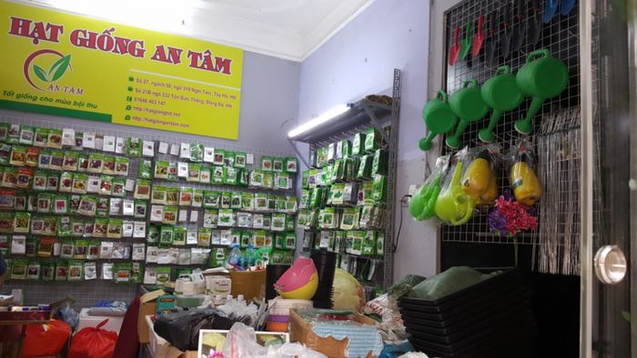 Không gian xanh mát tại vườn ươm An Tâm