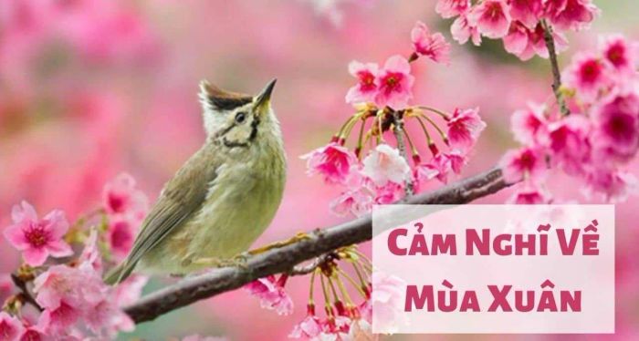 Nguồn ảnh minh họa: Internet