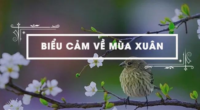 Nguồn ảnh minh họa: Internet