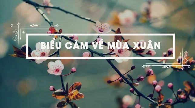 Nguồn ảnh minh họa: Internet