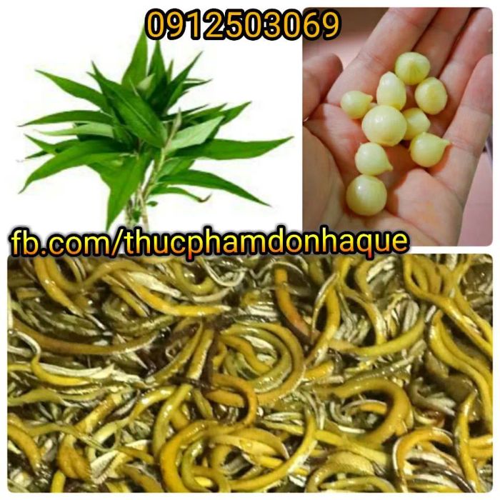 Thực đơn đa dạng món lươn tại Zuyên Lươn Xứ Nghệ