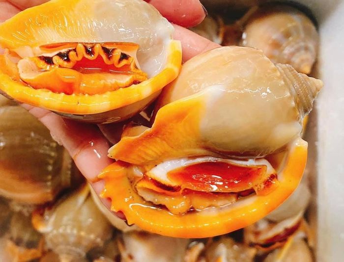 Những món ốc đặc sản làm nên thương hiệu Ốc Vi Saigon
