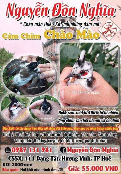 Hình ảnh sản phẩm Cám chim Nguyễn Đôn Nghĩa (ảnh 1)