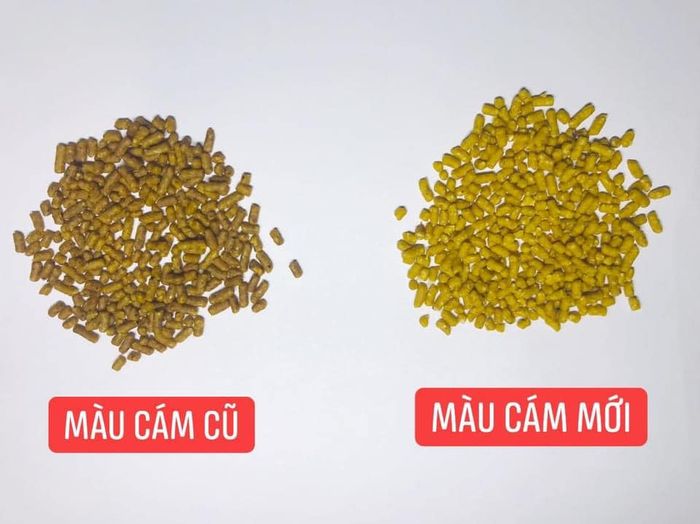 Hình ảnh sản phẩm cám chim Bùi Trung Quân (ảnh 2)