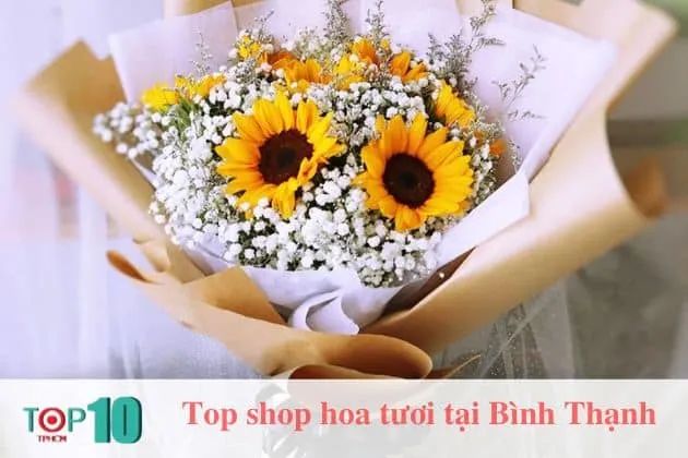 Quinflower - Tinh hoa kết tinh từ đất trời