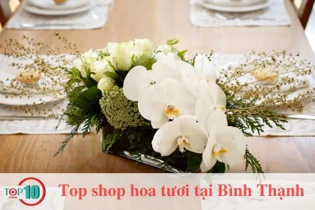 Violet On Wednesday - Nét đẹp dịu dàng giữa phố thị