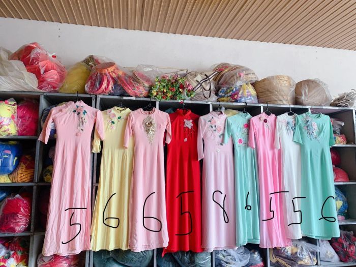 Trang phục biểu diễn Hoài Ân - Hình ảnh 2