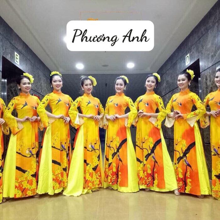 Bộ sưu tập trang phục biểu diễn đa dạng tại Phương Anh - Ảnh 2