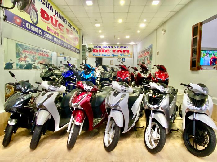 Không gian trưng bày ấn tượng tại Đức Tâm