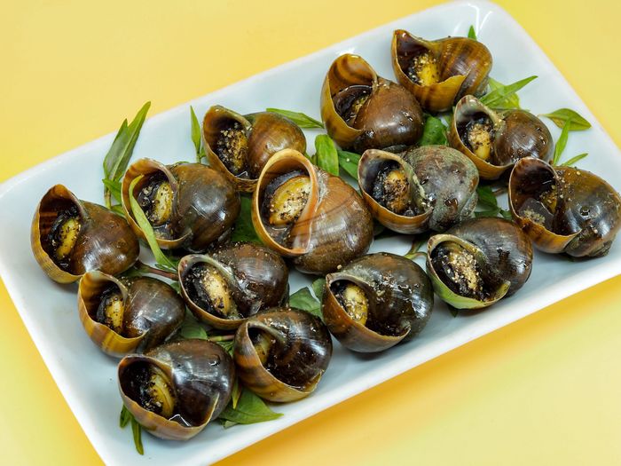 Những món ngon đặc sản tại Ốc My Hải Phòng - Ngô Quyền