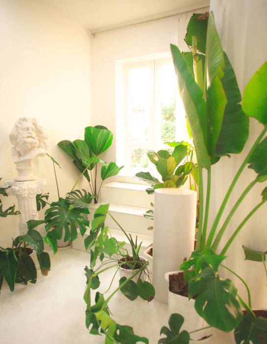 Không gian sáng tạo đa phong cách tại Concept Studio