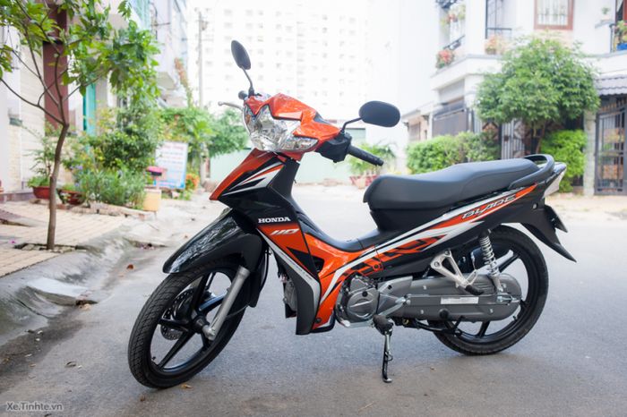 Hoa Muống Biển - ảnh 2