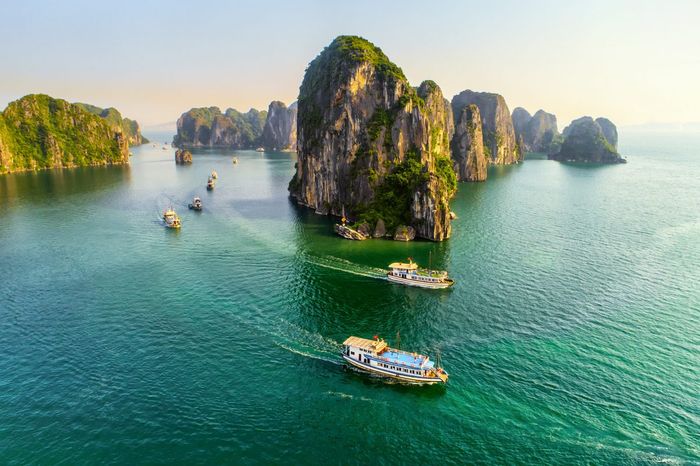 Ảnh minh họa nguồn internet ảnh 1