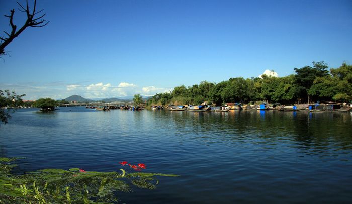 Hình ảnh minh họa (Nguồn: internet)