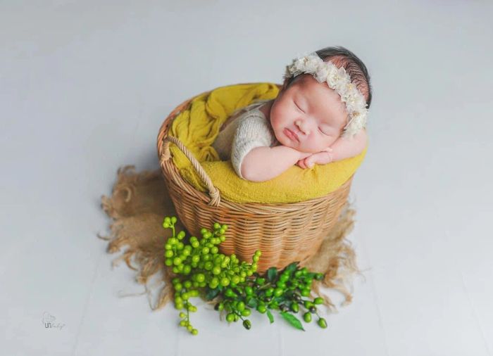 UN Photography ảnh 1