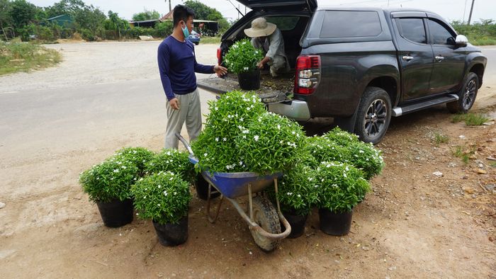 Không gian trưng bày đa dạng tại Hương Lộc