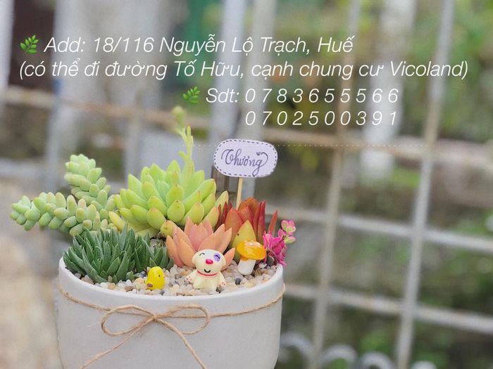 Góc sáng tạo đầy cảm hứng tại Cào Cào Garden - Ảnh 2