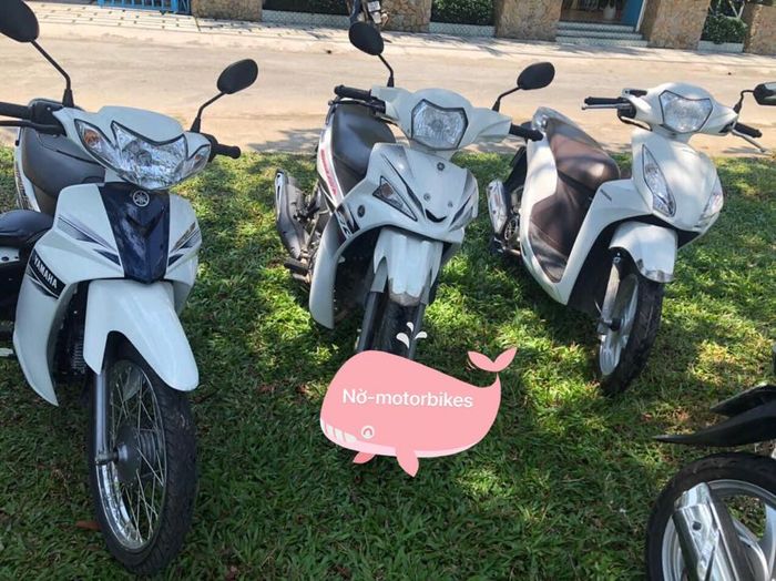 Dịch vụ cho thuê xe máy giá rẻ Quảng Ngãi - Nở Motorbikes - ảnh 1