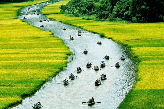 Ảnh minh họa nguồn internet ảnh 1