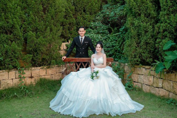 Tác phẩm sáng tạo tại Mèo Studio