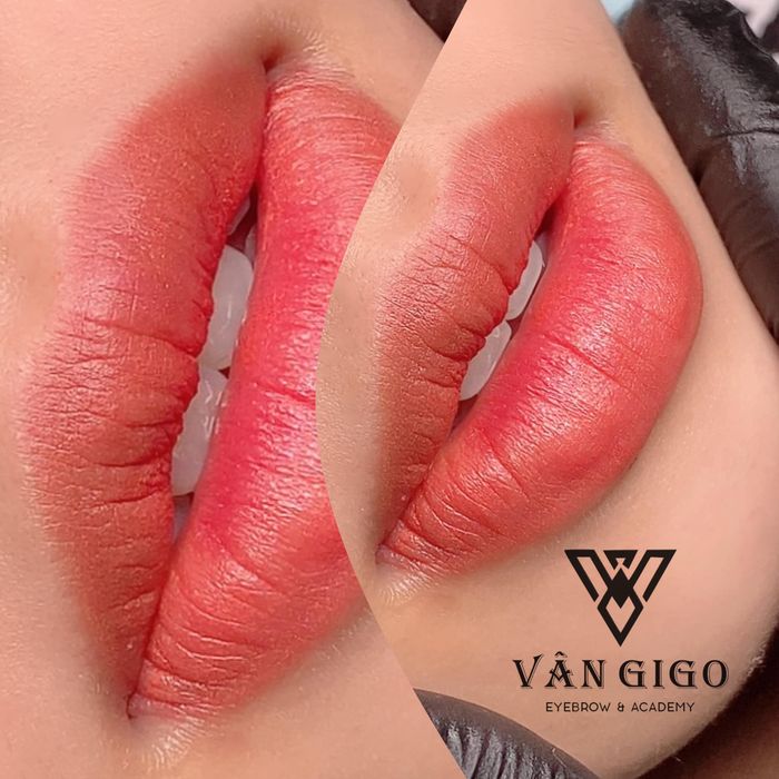 Vân Gigo Ảnh 1
