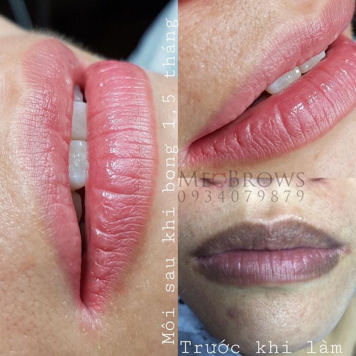 Phun Xăm Thẩm Mỹ MeoBrows - Hành trình kiến tạo nét đẹp đẳng cấp