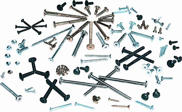 Doanh nghiệp tư nhân Vỹ Đương - Hình ảnh 1