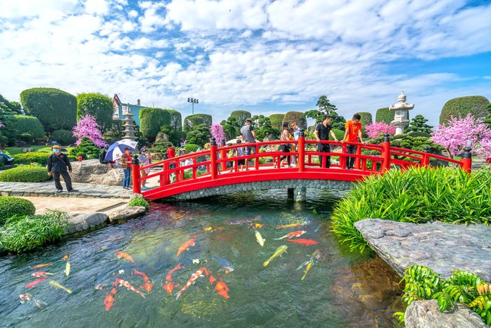 Thiết kế hồ Koi phong thủy ấn tượng bởi Cá Koi Bình Dương Japan