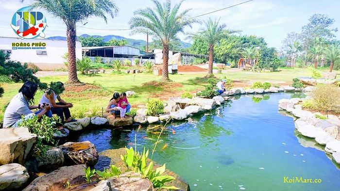 Hình ảnh thiết kế hồ cá Koi ấn tượng tại Hoàng Phúc Koi Farm