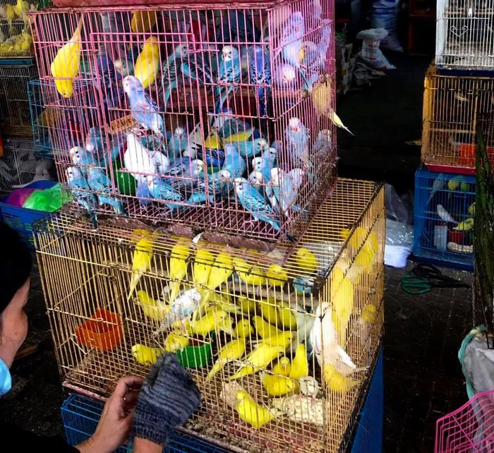 Hình ảnh không gian trưng bày tại Hồng Nhung