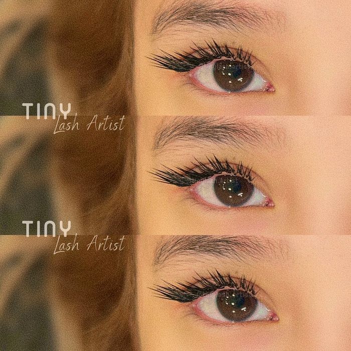 Hình ảnh Tiny Lash Academy – Từng đường mi tinh xảo, sắc nét