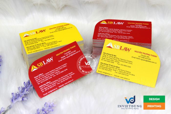 Bộ sưu tập danh thiếp cao cấp từ In Việt Dũng