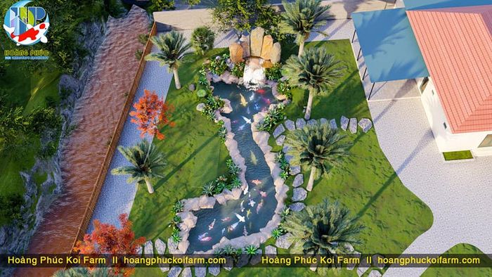 Hình ảnh hồ cá Koi nghệ thuật tại Hoàng Phúc Koi Farm