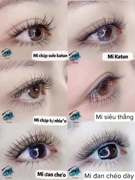 Trang Eyelash – Ảnh minh họa phong cách nối mi tinh xảo