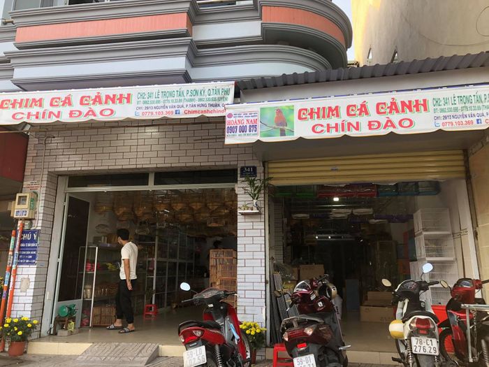 Không gian trưng bày đa dạng tại Chín Đào
