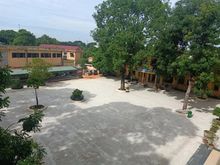 Hoạt động ngoại khóa sôi nổi của học sinh