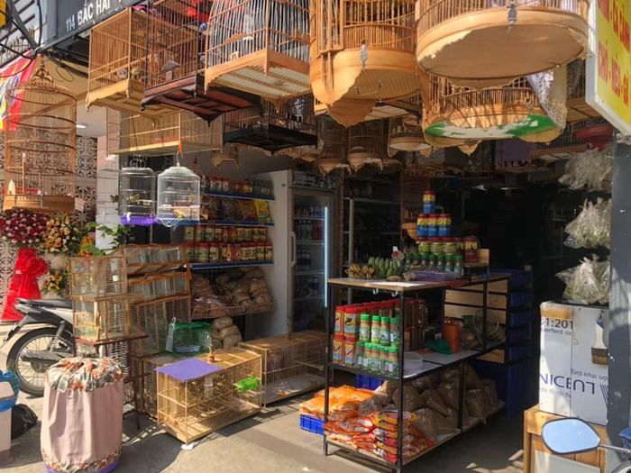 Không gian trưng bày ấn tượng tại Chim Cảnh Sài Gòn