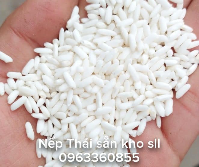 Gạo Việt Hương Chiến ảnh 2