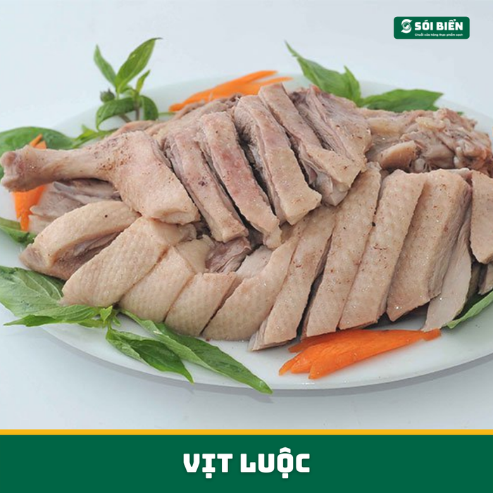 SÓI BIỂN hình ảnh 1