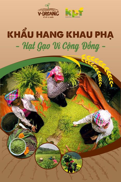 V-ORGANIC - VỀ VỚI TỰ NHIÊN hình ảnh 1