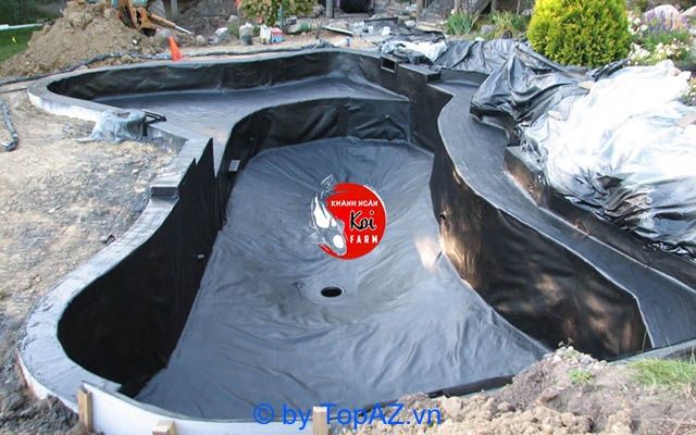 Công ty thiết kế và thi công hồ cá koi uy tín tại Bình Dương