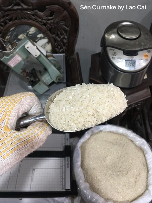 Gạo Phúc Khang ảnh 2
